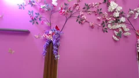 sofia online show from 19, 4, 2026