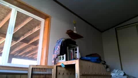 skinnystrong online show from 31, 1, 2025