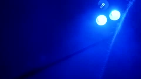 Skinz038 online show from 22, 4, 2026