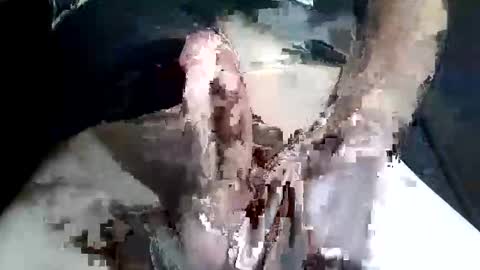 Z online show from 2, 11, 2025