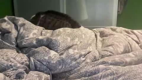 slice5 online show from 21, 12, 2025