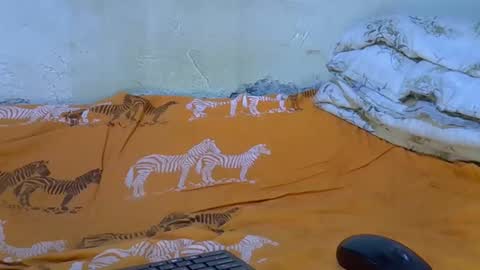 slim_girl3 online show from 18, 11, 2025