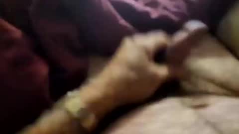 slitlicke69696969 online show from 21, 9, 2025