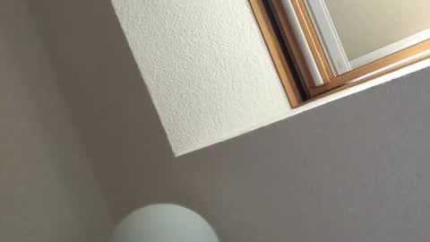 Bernd online show from 18, 9, 2025