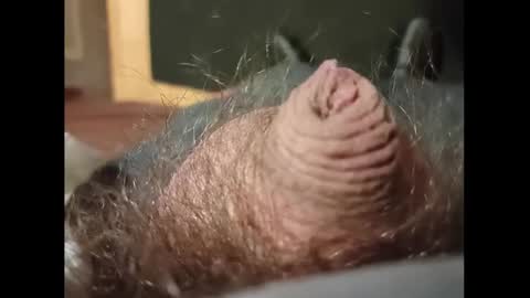 Snapshot of smallhairyuncut chatting on 27, 1, 2025 Small Hairy Uncut online show from 27, 1, 2025