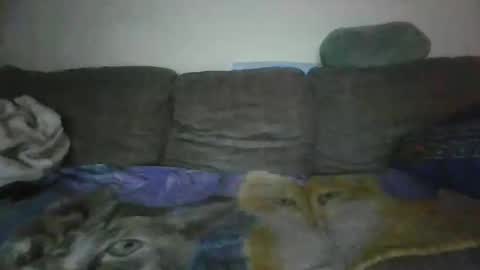 smaug6606 online show from 24, 11, 2025