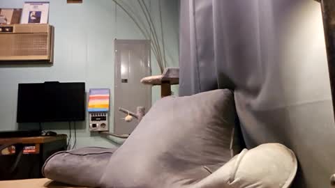 Snapshot of snackyyyy chatting on 6, 2, 2026 Snackyyyy online show from 6, 2, 2026