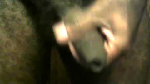 Snapshot of snkr1244 chatting on 28, 12, 2024 snkr1244 online show from 28, 12, 2024