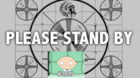 kitten online show from 1, 12, 2024