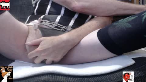 kitten online show from 4, 4, 2026