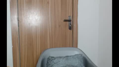 snowdrop5 online show from 31, 1, 2025