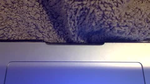 snowpapi79260 online show from 21, 1, 2025