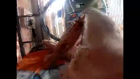 Snapshot of snqhephncxpu chatting on 17, 2, 2026 snqhephncxpu online show from 17, 2, 2026