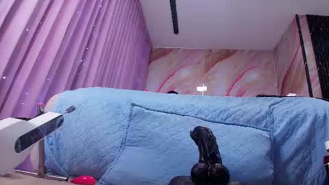 Sofia online show from 19, 6, 2026