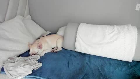 Snapshot of sofia_rivers_ chatting on 1, 3, 2025 sofia_rivers_ online show from 1, 3, 2025