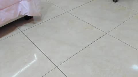 Snapshot of sofiaabigboobs chatting on 25, 11, 2025 sofiaabigboobs online show from 25, 11, 2025