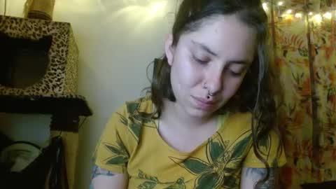 Sofia online show from 24, 11, 2025