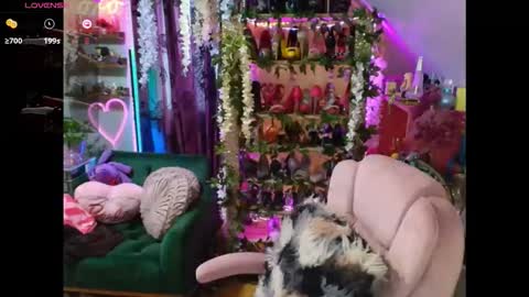 solesticia online show from 2, 4, 2026