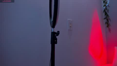 Sophie online show from 20, 12, 2025