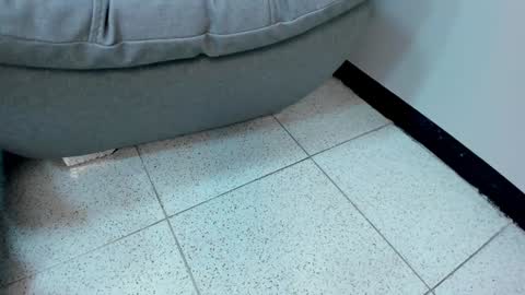 sophieharris__ online show from 18, 1, 2025