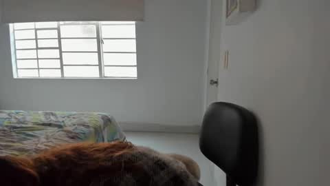 Snapshot of sophielatina chatting on 11, 2, 2025 Sophia online show from 11, 2, 2025