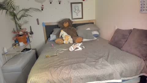 SofiTrans21 online show from 15, 12, 2024