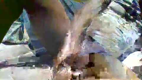 Snapshot of source1012 chatting on 16, 1, 2025 source1012 online show from 16, 1, 2025