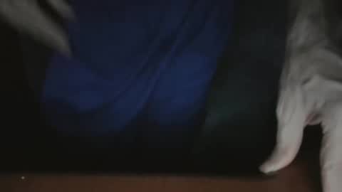 ScorpioKobra online show from 22, 11, 2025