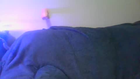 Scottietee online show from 11, 4, 2026