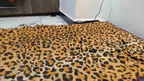 dela online show from 13, 9, 2025