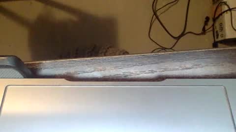 spirit__bear online show from 22, 11, 2025