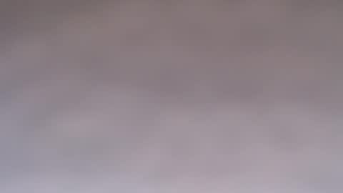 Doll online show from 7, 10, 2025