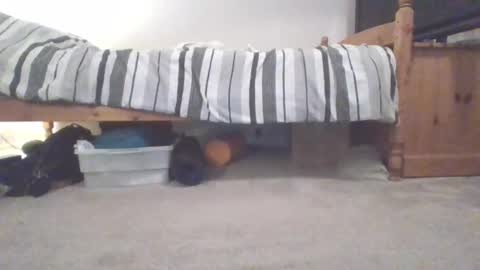 Sportyguy283 online show from 4, 3, 2025