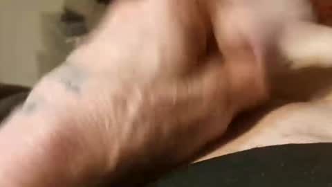 spraytec58 online show from 24, 3, 2026