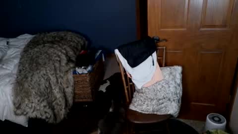 Snapshot of spun_redneck chatting on 31, 3, 2026 Spun Redneck online show from 31, 3, 2026