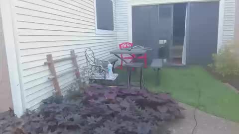 Snapshot of srtxshow chatting on 20, 10, 2025 srtxshow online show from 20, 10, 2025