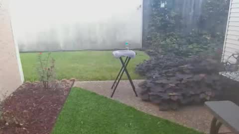 Snapshot of srtxshow chatting on 21, 10, 2025 srtxshow online show from 21, 10, 2025