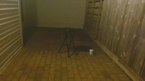 Snapshot of srtxshow chatting on 23, 10, 2025 srtxshow online show from 23, 10, 2025