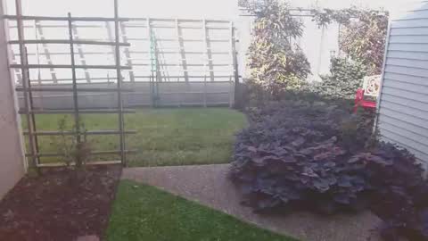 Snapshot of srtxshow chatting on 16, 11, 2025 srtxshow online show from 16, 11, 2025