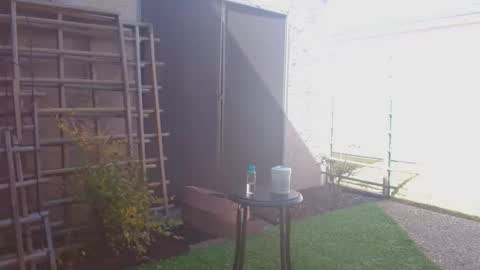 Snapshot of srtxshow chatting on 7, 2, 2026 srtxshow online show from 7, 2, 2026