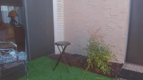 Snapshot of srtxshow chatting on 13, 3, 2026 srtxshow online show from 13, 3, 2026