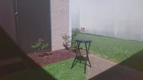 Snapshot of srtxshow chatting on 14, 3, 2026 srtxshow online show from 14, 3, 2026