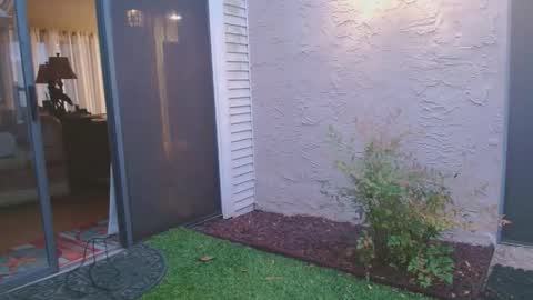 Snapshot of srtxshow chatting on 4, 4, 2026 srtxshow online show from 4, 4, 2026