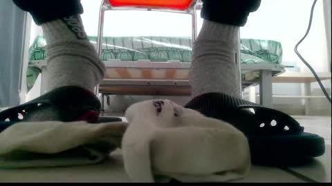 Snapshot of ssenzo chatting on 10, 12, 2024 ssenzo online show from 10, 12, 2024