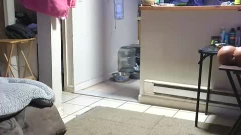 Snapshot of stacytasteme chatting on 23, 10, 2025 Submissive Slut LOVES adoration online show from 23, 10, 2025