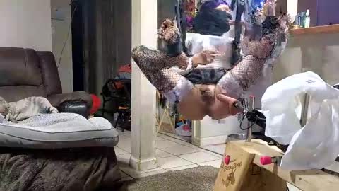 Snapshot of stacytasteme chatting on 12, 11, 2025 Submissive Slut LOVES adoration online show from 12, 11, 2025