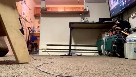 Snapshot of stacytasteme chatting on 21, 2, 2026 Submissive Slut LOVES adoration online show from 21, 2, 2026