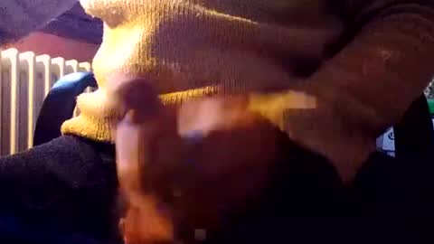 Snapshot of stalloneumbro chatting on 31, 12, 2024 CIPPALIPPA online show from 31, 12, 2024