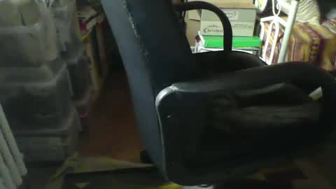 Snapshot of stalloneumbro chatting on 21, 1, 2025 CIPPALIPPA online show from 21, 1, 2025