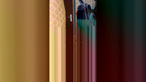 stambo0704987834 online show from 17, 1, 2026